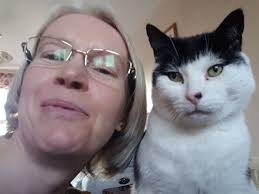 Cat Sitter & Behaviourist — Sally Chamberlain, Clinical Animal Behaviourist