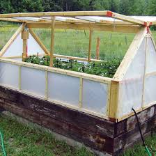 Regardless of whether you are looking for something simple and easy to complete or want to undergo a massive project, we have searched far and wide to produce a list of amazing diy greenhouse ideas. Homemade Greenhouse Ideas Diy Greenhouse Cold Frame Terrarium