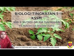 Kertas 3 bab 2 tingkatan 5 modul kbat raub (buletin) modul kbat sejarah tingkatan 5 t5bab 2 : Biologi Kssm T5 Bab 3 Nutrisi Dalam Tumbuhan Litetube