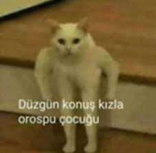 Memes Komik Internet Fenomenleri