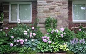 After sprucing up your front lawn with hostas, magnolias, and mulch, consider adding a stone pathway that can help guide guests through your new favorite. Hydrangeas And Hostas