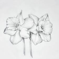 Andiani Herlina On Instagram The Daffodil The Rebirth New Beginnings That Come With Spring Daffodil Tattoo Birth Flower Tattoos Narcissus Flower Tattoos