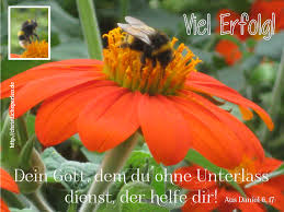 Die zusammenstellung beruht auf dem buch von hans braam, der die berühmtesten deutschen gedichte auf grundlage von 200 anthologien aus über dreihundert jahren ermittelt hat. Karten Zur Prufung Christliche Perlen