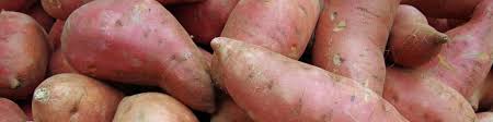 And sweet potatoes grow with little water and fertilizer. Sweet Potato Allergy Test London Allergy Immunology Centre