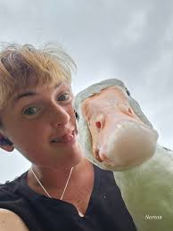 Sometimes even a Goose needs his photo taken. Look he's smiling at me🙂