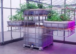 Picture Taken At Mediamatic Fabriek This Is The Horizontal Aquaponics Installation The Vertical One Features The Pla Acuaponia Sistema Hidroponico Hidroponia