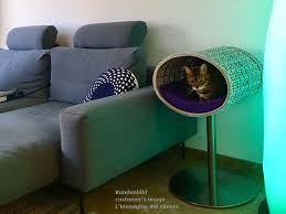 This comfortable, luxurious dog/cat day bed is made to last and can be used both indoors and outdoors. Design Cat Tree Hand Crafted In Germany With Best Materials