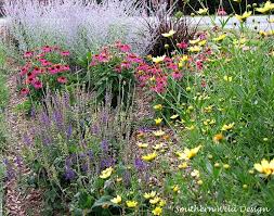Got Sun Get Perennials Southern Wild Design Perennials Planting Flowers Perennial Garden