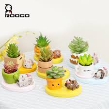 I added about 4 small succulents to the top. Roogo Unique Funny Resin Small Planter Succulent Mini Cactus Pots With Animal Figurine Small Gift Items Buy Animal Small Planter Funny Succulent Pots Small Gift Items Product On Alibaba Com