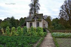 chateau de versailles et ses jardins une fleur de paris versailles chateau jardins