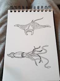 My Drawing Of 2 Sharks Seemed To Go Down Well Yesterday So Thought Would Carry On That Style Here Is A Manta Ray And Animal Drawings Manta Ray Art My Drawings