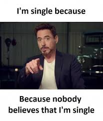 240 Being Single Memes Ideas Single Memes Funny Quotes Single Humor
