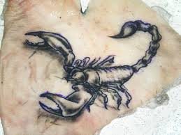 10 count (pack of 1). Tattoo Tutorial Using Pigskin As A Practice Medium