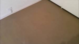 Dinno's carpet cleaning and pest control has got a team of highly skilled and well trained carpet steam cleaners in australia. Carpet Cleaning Aladdin Carpet Cleaning And Pest Control
