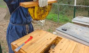 If you wait too long to remove your supers, the weather turns too cold to harvest your honey. Top Bar Beehives Vs Langstroth Beehives Backyard Beekeeping