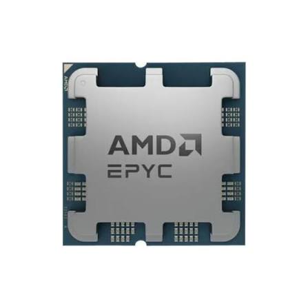 Amd epyc 4464p - 12 cores / 24 threads 3. 7 ghz | cloud ninjas