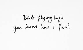 Blackbird Singing In The Dead Of Night Lyrics Boss Baby Apricots Apples Photo Nina Simone Cool Lyrics Friendship Lyrics