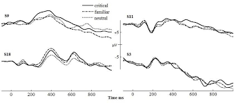 Lie detector tests are not completely reliable. Disrupting Dorsolateral Prefrontal Cortex By Rtms Reduces The P300 Based Marker Of Deception Biorxiv