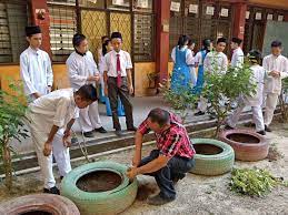 Anda bisa mengoptimalkan potensi dari sudut rumah belakang dengan membuat taman mini berbekal beberapa pot saja. Mini Sekolah Rakan Alam Sekitar Smk Taman Tun Fuad Facebook