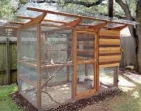 Which wood is best for a chicken coop? | The Garden Coop