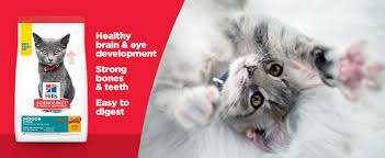 Looking for a product to buy online? Amazon Com Hill S Science Diet Dry Cat Food Kitten Indoor Chicken Recipe 7 Lb Dry Pet Food Pet Supplies