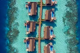 Water is life—one of our most precious resources, and artistree tree houses are designed to let people experience nature's resources more intimately, says designer will beilharz. What It Takes To Build An Overwater Bungalow Architectural Digest