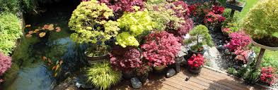 Outside Designs Creative Garden Design Testimonials