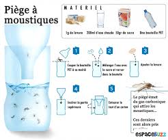 Comment Fabriquer Un Piege A Moustiques Piege A Moustiques Moustique Trucs Et Astuces