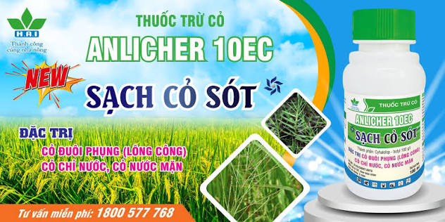 Anlicher 10EC