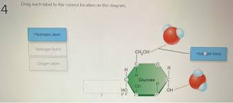 What was thought of as a single particle about 1 × 10‾¹º m across is now known to be a collection of. Solved Drag Each Label To The Correct Location On The Dia Chegg Com