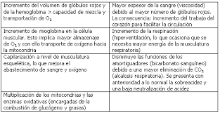 Definicion de resistencia en educacion fisica. Lecturas Educacion Fisica Y Deportes Revista Digital