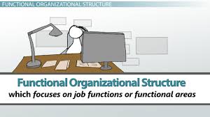 what is organizational structure of management types examples