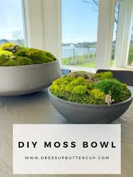 Dress Up Buttercup Dede Raad Houston Fashion Blogger Houston Blog Fashion Blog In 2020 Moss Decor Diy Garden Table Contemporary Home Decor