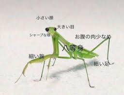 zero zero さん twitter twitter