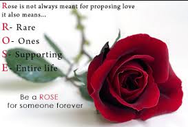 Rose Day Sms Wishes Images Messages Whatsapp Dp Quotes Profile Pic Photos Wallpapers Happy Rose Day Wallpaper Rose Day Wallpaper Rose Day Shayari