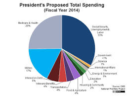 12 Specific Us Fiscal Spending Pie Chart