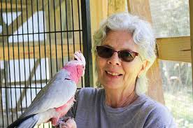 Rescue group provides home for nearly 200 parrots at Magnolia Exotic Bird  Sanctuary