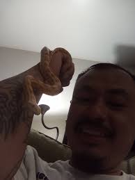 may i please get new EG or pony pictures?