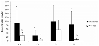 Image result for Adenodolichos
