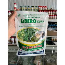 Libero 800WP