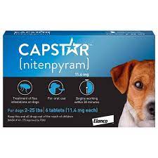 Once the only option available for heartworm prevention in dogs, daily medication was originally commonplace but is now mostly phased out. Best Flea And Tick Medicine For Dogs In 2021