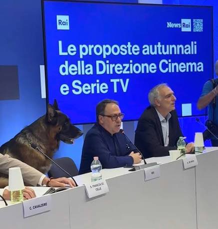Ma in che senso hanno portato il cane che interpreta Rex alla presentazione  dei palinsesti Rai? Paese irreale. 😂