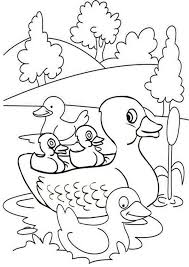 Print this color page back to the color pages. Free Easy To Print Duck Coloring Pages Duck Coloring Pages Bird Coloring Pages Farm Coloring Pages