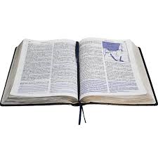 Grupo De Estudo Biblico