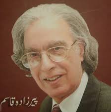 Image result for pirzada qasim