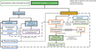 recommendations of the brazilian society of rheumatology for