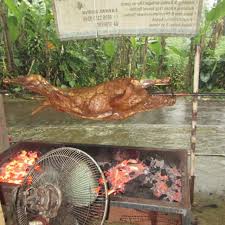 A suckling pig is a piglet fed on its mother's milk (i.e., a piglet which is still a suckling). Kambing Guling Mutiara Hijrah Shopee Indonesia