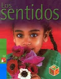 Los sentidos by Jinny Johnson
