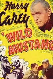 Wild Mustang