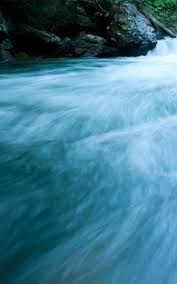 Check spelling or type a new query. Taikisha Ltd